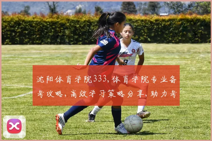 沈阳体育学院333,体育学院专业备考攻略,高效学习策略分享,助力考研成功