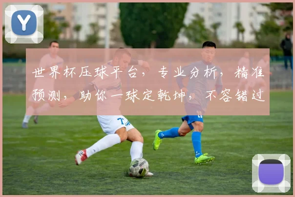 世界杯压球平台，专业分析，精准预测，助你一球定乾坤，不容错过