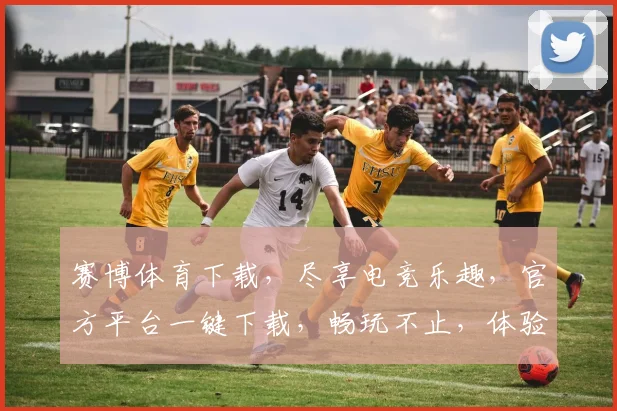 赛博体育下载，尽享电竞乐趣，官方平台一键下载，畅玩不止，体验非凡，不容错过